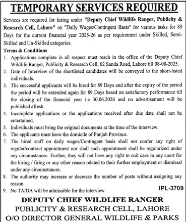 Jobs in Publicity & Research Cell Lahore